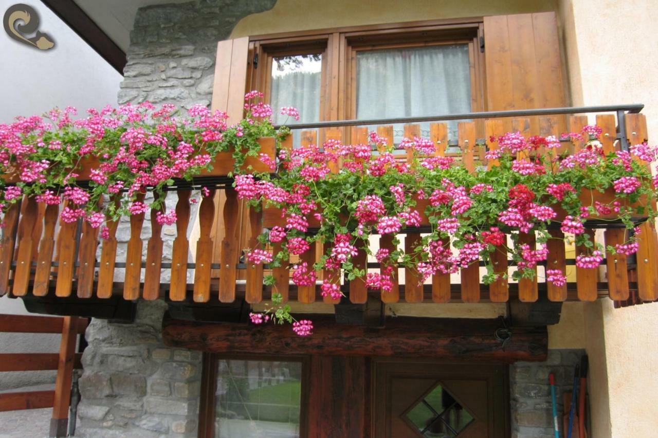 Appartamenti Lo Scoiattolo - Noce E Nocciola Pré-Saint-Didier Exterior foto